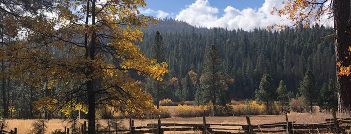 Wawona Meadow Loop Trail is one of Locais curtidos por mike.