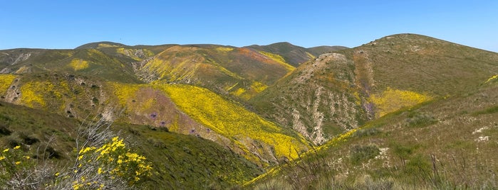 Carrizo Plain National Monument is one of Parks/beaches.