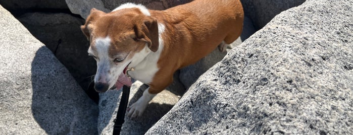 Will Rogers State Beach is one of Orte, die Amaya gefallen.