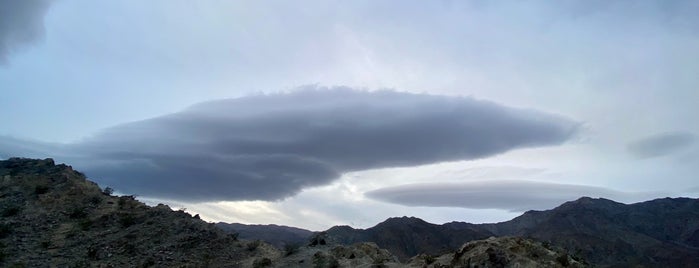 Bear creek trail is one of Desert Places.