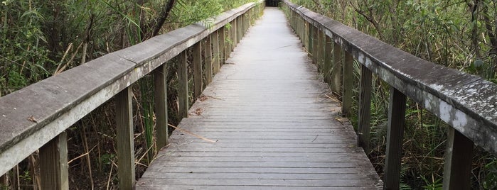 Bobcat Boardwalk Trail is one of Lugares favoritos de Jonathan.