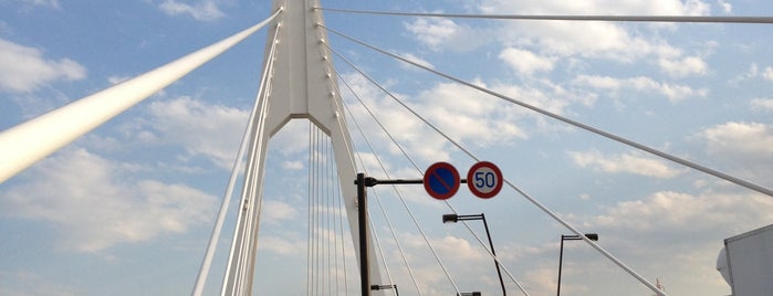 Daishi Bridge is one of 多摩川.