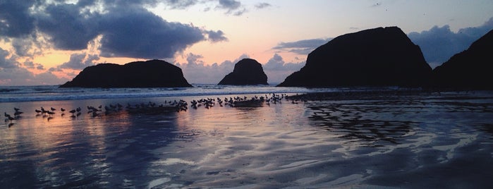 Cannon Beach is one of america the beautiful.