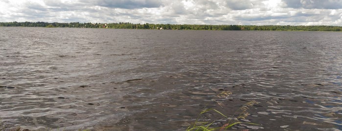 Сиверское озеро is one of Tempat yang Disukai Eugene.