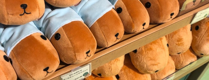 Capybara-san Kyurutto Shop is one of 東京ココに行く！ Vol.33.