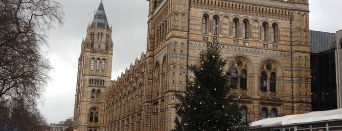 Natural History Museum is one of London Art/Film/Culture/Music (One).