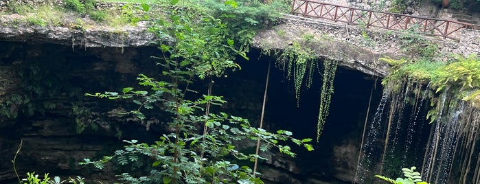 Cenote is one of Playa del Carmen cenote.