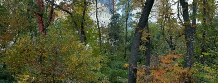 Hallett Nature Sanctuary is one of USA NYC MAN UES.