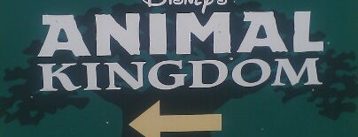 Animal Kingdom Bus Stop is one of Lugares favoritos de Lindsaye.