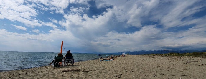 Spiaggia Libera di Marina Di Vecchiano is one of สถานที่ที่ Matteo ถูกใจ.