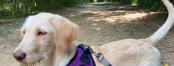 Greenway Dog Park is one of Chattanooga.