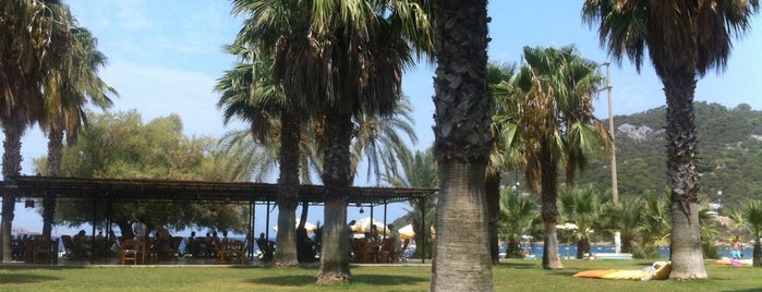 Selvi Beach Otel is one of Tempat yang Disukai cavlieats.