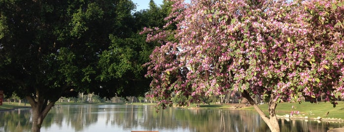 Tri City Park is one of Ahmad🌵'ın Beğendiği Mekanlar.