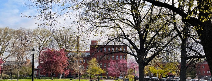 Coffey Park is one of NYC 2018 - Brooklyn.