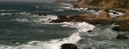 Bodega Head is one of North Bay Faves.