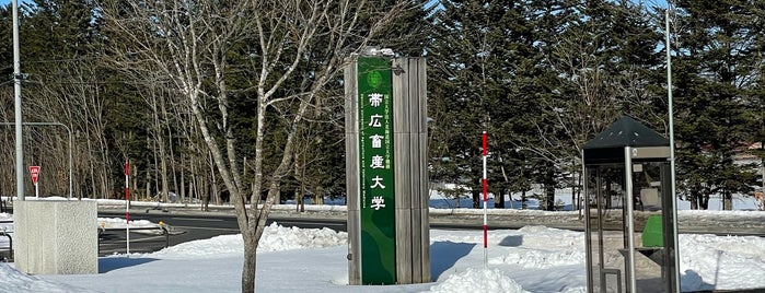 Obihiro University of Agriculture and Veterinary Medicine is one of 北海道の大学.