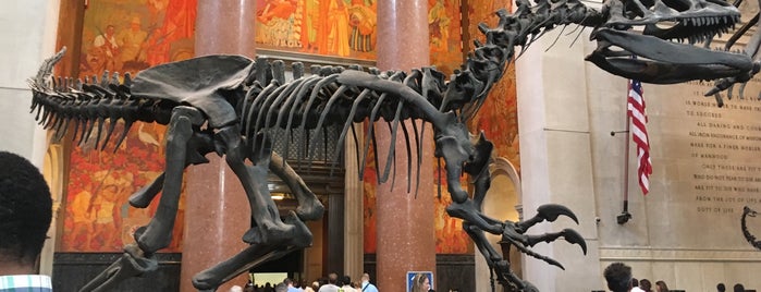 Museu De História Natural is one of NYC.