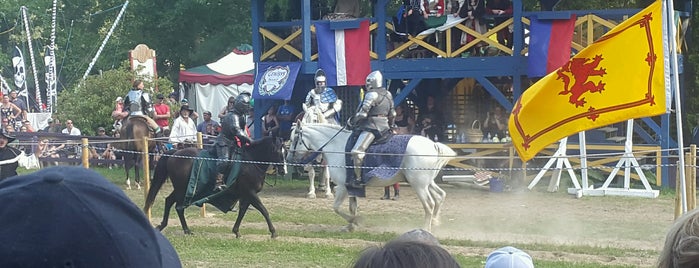 Michigan Renaissance Festival is one of Places I Go.