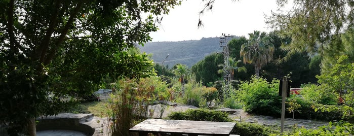 Cukurova Arboretumu is one of Adana.