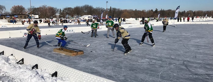 U.S. Pond Hockey Championship is one of Shari.