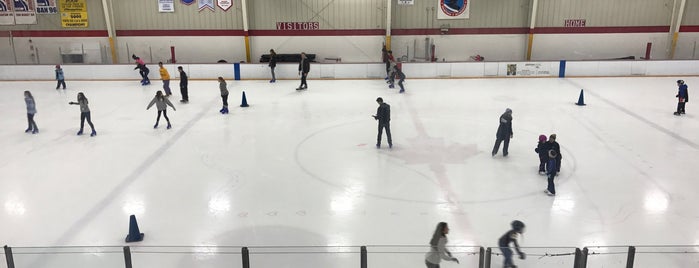 Westchester Skating Academy is one of Rinks.