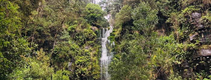 Erskine Falls is one of Lugares favoritos de Abhinav.