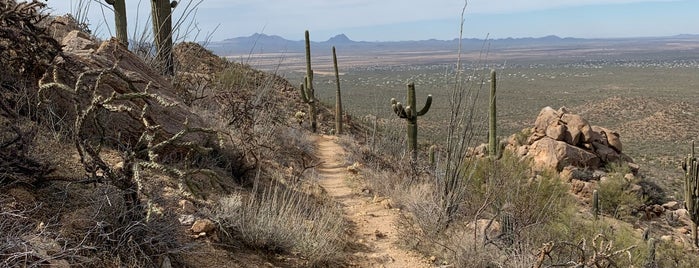 Hugh Norris trail is one of Tempat yang Disukai Melanie.