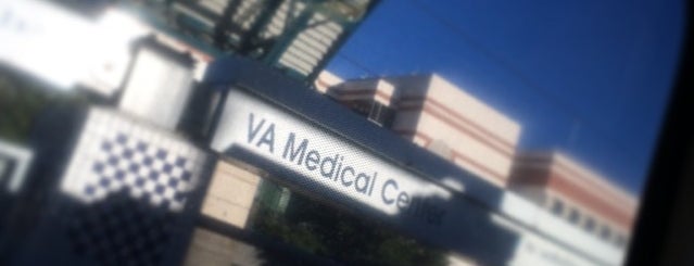 VA Medical Center Station (DART Rail) is one of da Blue Line on DART.