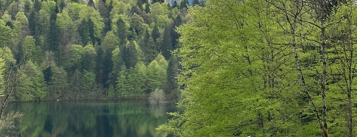 Freibergsee is one of Schön & Sehenswert.