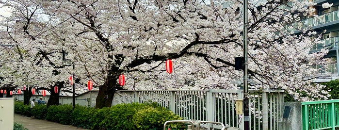 豊橋 is one of 東京橋 〜神田川編〜.