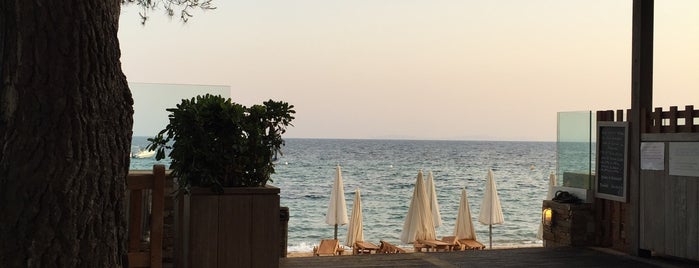La Pinede Plage Hotel is one of places to stay.