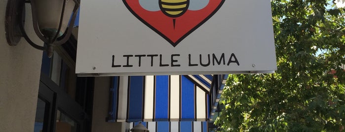 Little Luma is one of Toy Stores SF Bay Area.