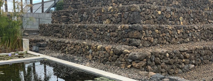 Pirámides de Güímar | Parque Etnografico is one of to do at Tenerife.