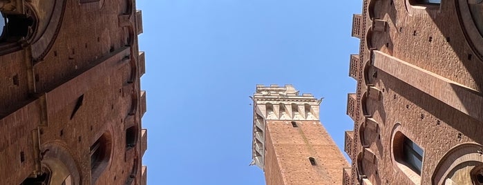 Palazzo Pubblico is one of SIENA - ITALY.