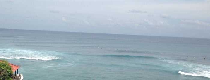 Single Fin is one of Southeast Asia.