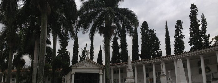 Museo Cementerio San Pedro is one of Medellin.