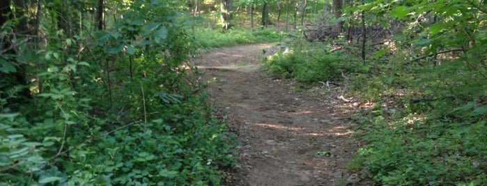 Palisades Interstate Park and the Long Path, NJ is one of Lieux sauvegardés par Grace.