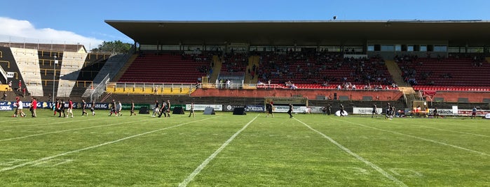 Ellenfeld-Stadion is one of Football Grounds.