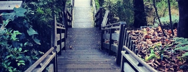 Filbert Steps is one of Katherine's SF & East Bay recommendations.