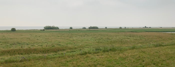 Vuurtoren De Ven is one of West-Friesland.