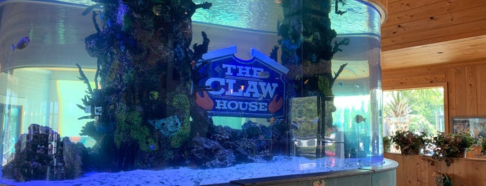 The Claw House is one of Pawley’s Island.