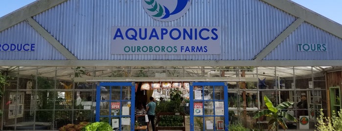 Aquaponics - Ouroboros Farms is one of Farms & Ranches.