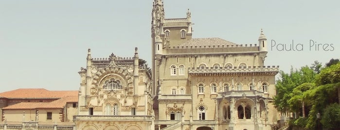 Mata do Bussaco is one of Sul Portugal.