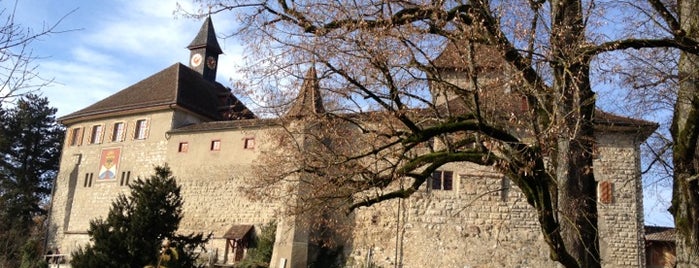 Schloss Kyburg is one of Swiss Museum Pass.