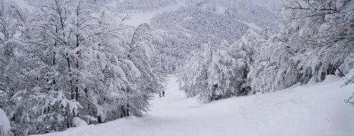 Vasilitsa Ski Resort is one of Ski resorts.