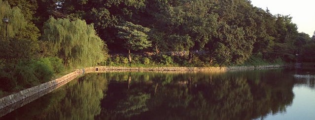 三ツ池公園 is one of 神奈川県立都市公園一覧.