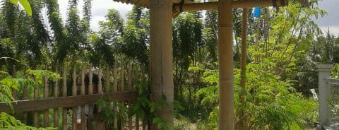 baliwood organic farm is one of Guide to Ubud's best spots.