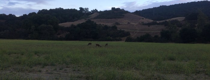 Rancho San Antonio County Park is one of Caroline’s Liked Places.