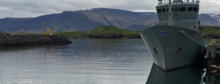 Viðey ferry is one of Reykjavik.