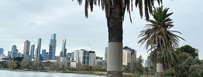 Albert Park Lake is one of Melbourne.